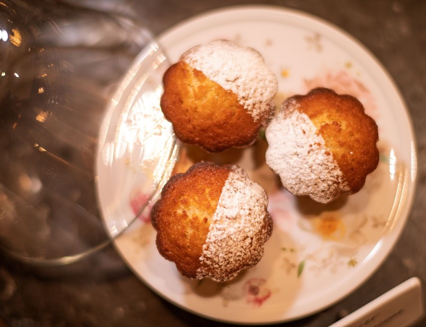 Drei Küchlein sind mit Puderzucker bestreut auf einem weißen Teller angerichtet.
