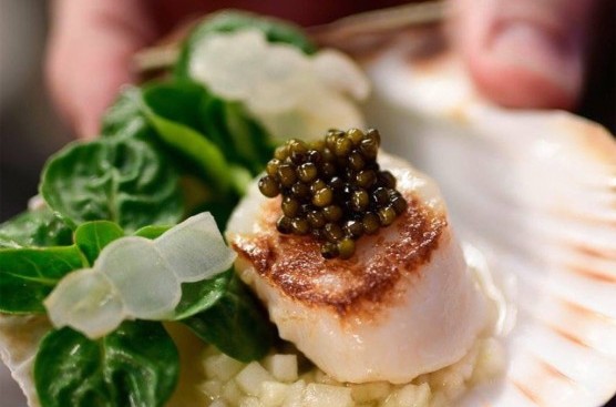 Erbprinz Gourmet