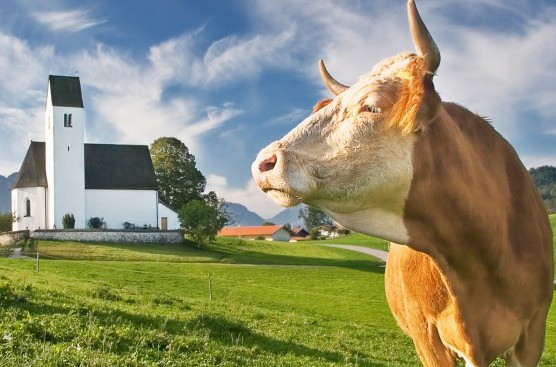 bio_2_hirschburger_lo