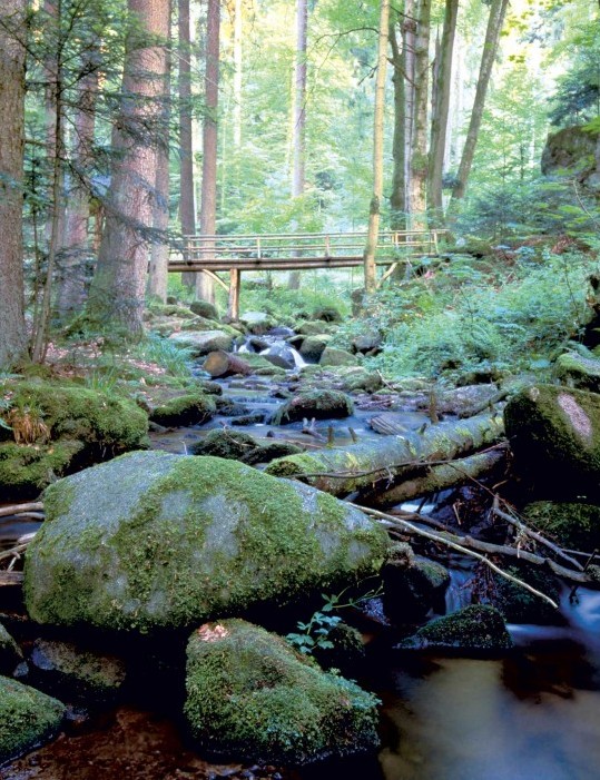 Erbprinz Natur