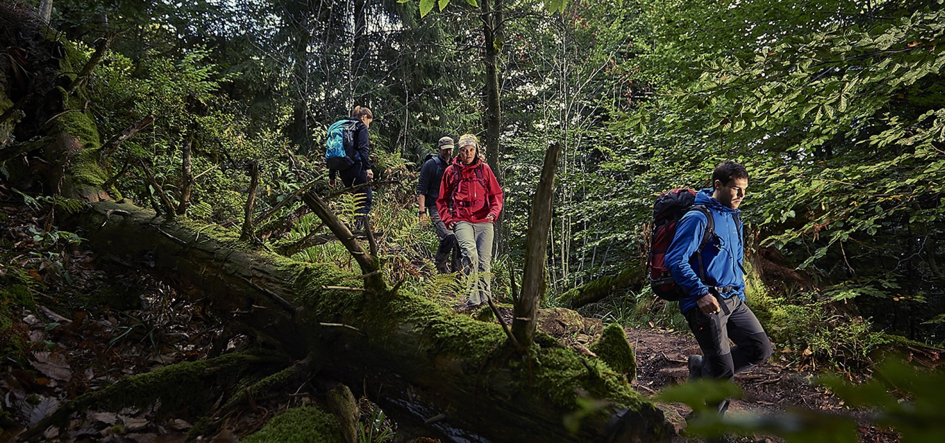 Wandern im Schwarzwald