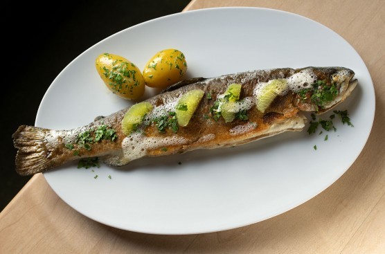 Weinstube Sibylla Fisch